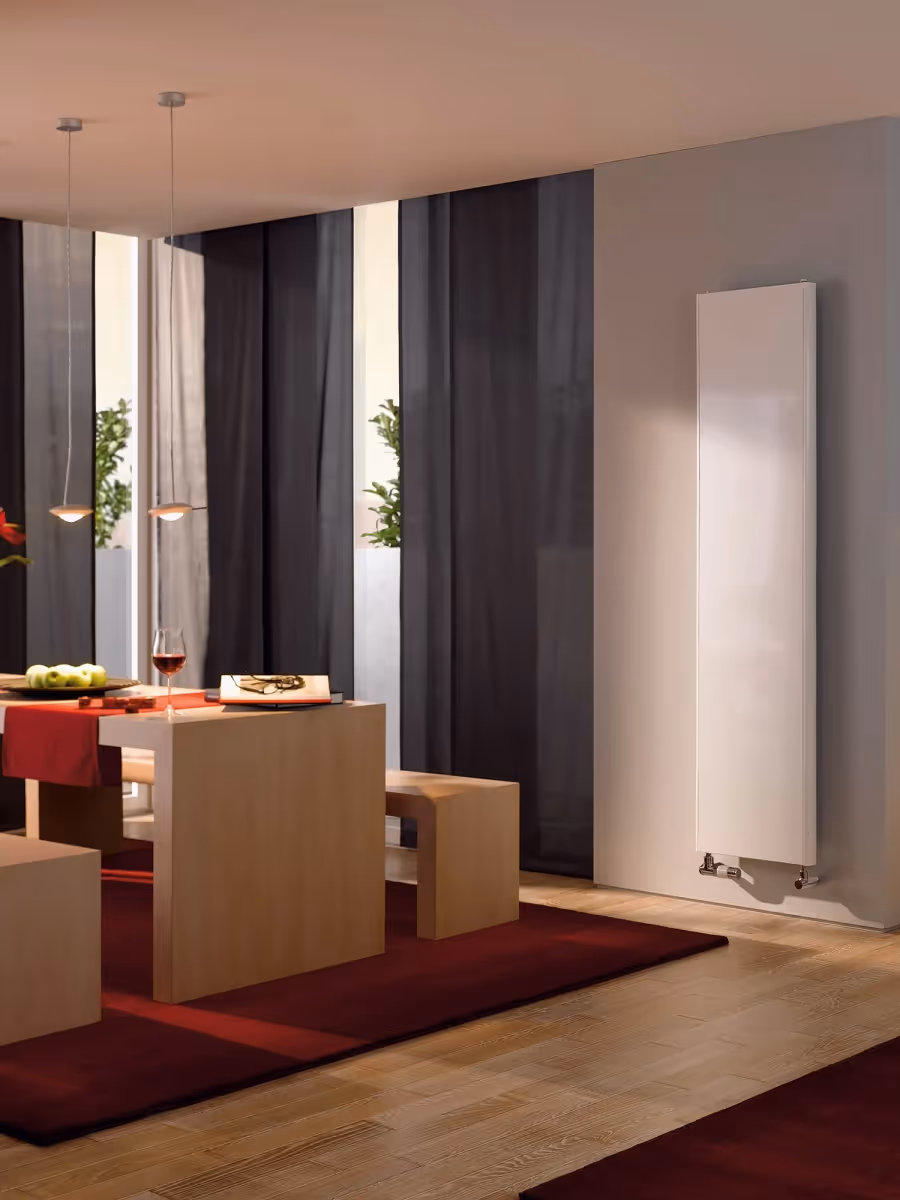 Moderner Wohn- und Essbereich mit flachem Designheizkörper an der Wand.
